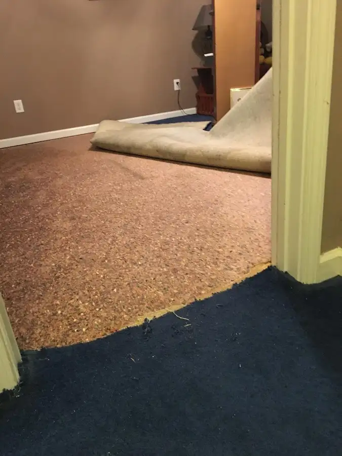 Carpet pad removal revealing water damage during Drying & Dehumidification in Eldersburg